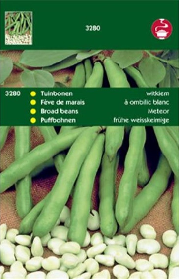 Tuinboon Vroege Witkiem (Vicia faba) 100 zaden